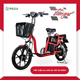 Hình ảnh Xe Đạp Điện PEGA Zinger +