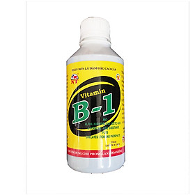 Mua Vitamin B1 chuyên kích ra rễ và hoa cho cây cảnh và phong lan (chai 250ml)