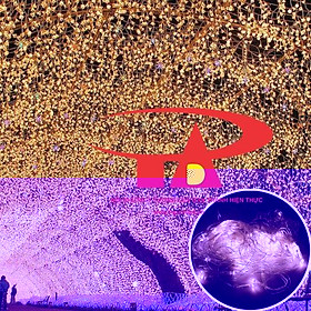 Mua Combo 10 Dây Đèn Led Chớp 5m Trang Trí Noel