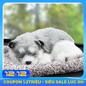 CHÚ CHÓ HUSKY XÁM THAN HOẠT TÍNH KHỬ MÙI & TRANG TRÍ TAPLO Ô TÔ LOẠI LỚN 28CM X 21CM