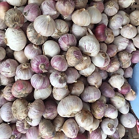 Mua 1KG TỎI CÔ ĐƠN HÀNG ĐẸP Lọai 1