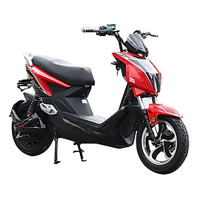 Xe Máy Điện Nijia Xtreme V5