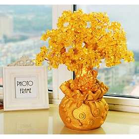 Cây Tài Lộc Vàng (8Cmx18Cm)