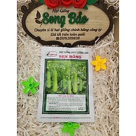 Hạt Giống Bầu lai F1 SH 18