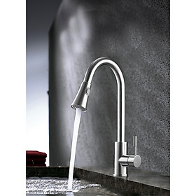 Vòi chậu rửa bát inox đầu rút-inox 304