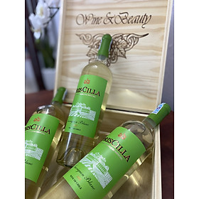Mua  Vang trắng  Rượu vang Chile PrisCilla Sauvignon Blanc