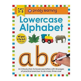 Lowercase Alphabet: Wipe Clean Workbooks