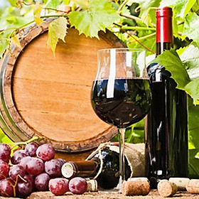 BỘ LY VANG PHA LÊ Ý RCR INVINO 1400ML