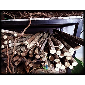 Lũa Thạch Sung | Lũa Thẳng Làm Rừng | Chuyên dùng cho bể cá Thủy Sinh - Vân Lũa Cực Đẹp, Set bể Cực Đã