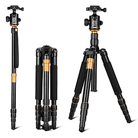 Mua Chân Máy Ảnh Beike Q-666