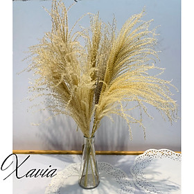 Mua Cỏ lau khô trang trí phòng