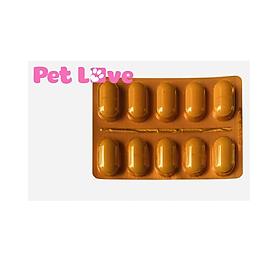 Calci Delice bổ sung Canxi và khoáng chất cho chó (Virbac, Pháp)