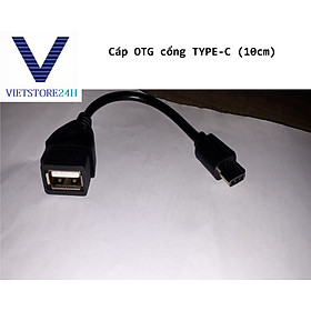 Dây cáp chuyển đổi dữ liệu từ cổng Type-C sang USB OTG (10 cm) VT