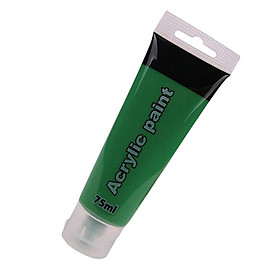 Acrylic Paint Waterproof Pigment Adults Craft Drawing Coloring