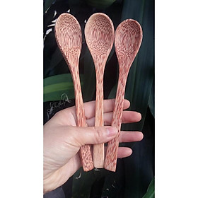 Mua Thìa gỗ dừa lọc nấm kefir