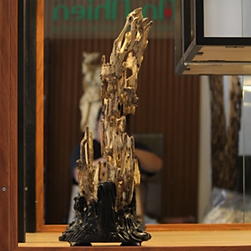 Mua Trầm Hương Cảnh THC01