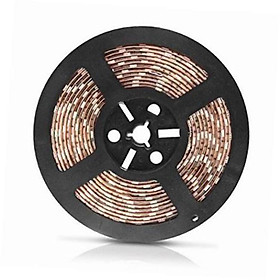 Đèn LED Toàn Quang Trồng Cây (5M 12V)