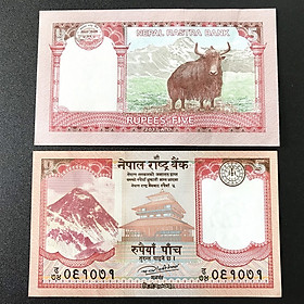 Mua Tờ lưu niệm hình Con Trâu ở Nepal  dùng để lì xì  sưu tầm  lưu niệm  trang trí trong nhà dịp Tết Tân Sửu 2021 - SP001803