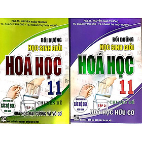 ComBo Bồi Dưỡng Học Sinh Giỏi Hoá Học 11 Theo Chuyên Đề Hoá Hữu Cơ + Vô Cơ ( 2 Tập - Dùng Chung Cho Các Bộ SGK Hiện Hành)