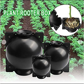 Mua 1 Bầu nhựa hộp chiết cành hỗ trợ chiết cành tạo rễ cực tốt bền hơn 4 năm