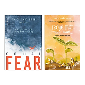 Combo 2 Cuốn Sách Tôn Giáo, Tâm Linh: Fear - Sợ Hãi (Hóa Giải Sợ Hãi Bằng Tình Thương) + Trồng Một Nụ Cười - Cùng Trẻ Thực Hành Chánh Niệm