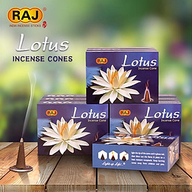 Mua Hương nụ HEM - RAJ.. (HEM Cones) - Hương Ấn Độ cao cấp - Thu Hút Tài Lộc  Hỗ Trợ Sự Nghiệp