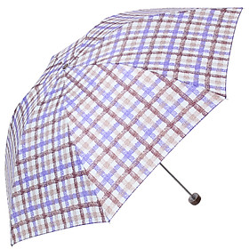 Dù Gấp Paradise 339S