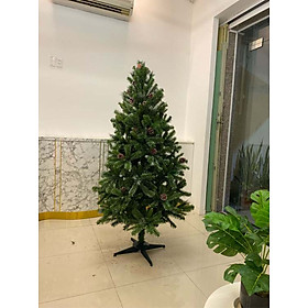 Mua Cây thông noel 3 loại lá gắn trái thông cao 180cm