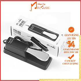 Mua Pedal Organ đa năng dạng Sustain WTB-005
