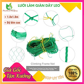 Mua Lưới Làm Giàn Dây Leo (1 8m x 1 8m) Lưới Làm Giàn Dưa Leo  Hoa  Đậu Leo  Giàn Cây Bền Chắc-Shop Phân Bón và Hạt Giống