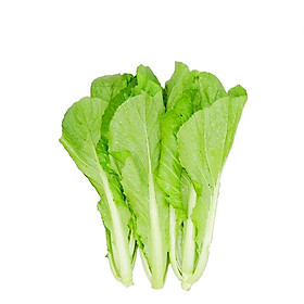 Hạt giống cải bẹ xanh mỡ Đại Địa gói 10g