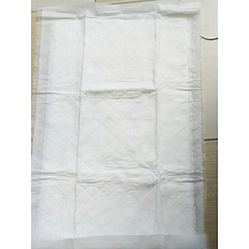 Mua Tấm lót sản phụ đi sinh cỡ 45x70cm