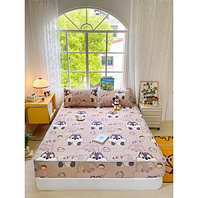 Mua Chiếu điều hòa cao su non  chiều cao su bo chun dày dặn  mềm mại  thoáng mát đủ size 1m6x2m  1m8x2m  2mx2m2