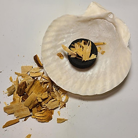 Mua Combo 1 Đĩa ốc xà cừ + 20gr vụn xô trắng hoặc vụn palo santo + 10 viên than