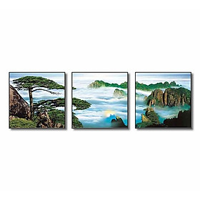 Bộ 3 tranh Q6D11-FJ0077