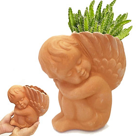 Mua Chậu đất Nung Thiên Thần Nhỏ  Cây Kiểng Thạnh Xuân   Trồng Bonsai  Cây Cảnh  Sen đá  Có Lỗ Thoát Nước