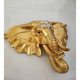 Mua Đầu voi treo tường