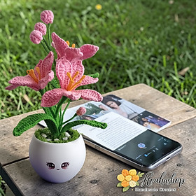 Mua Chậu hoa mini decor bàn làm việc– Quà tặng xinh xắn