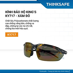 Mua Kính bảo hộ King s Thinksafe  mắt kiếng bảo hộ chống bụi  siêu nhẹ  chống tia uv đi đường  ôm khuôn mặt  màu đen - KY717