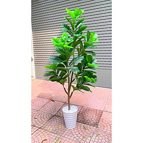 Mua Cây bàng Singapore giả giống thật 99% - Nhiều kích thước – Cây giả  hoa lụa decor trang trí rẻ  bền  đẹp
