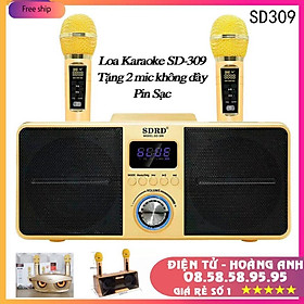 Mua LOA KARAOKE SD-309 (SD 306 - SD 301)