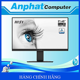 Màn hình LCD MSI PRO MP223 (21.45 inch/Full HD/VA/100Hz/1ms) - Hàng Chính Hãng