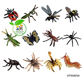 Set 12 con côn trùng dùng trong góc ngôn ngữ, góc sinh học
