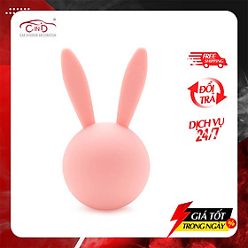 Combo 2 Sáp Thơm ghim Máy Lạnh CARMATE Sai Angel Rabbit Air 2P DSG123 Pure Fruity 8g