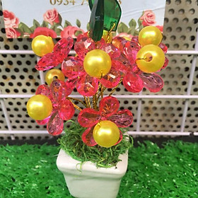 Châu tiểu cảnh mini trang trí cherry 4 màu