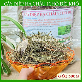 Cây Diệp Hạ Châu (Cây Chó Đẻ) khô 500gram