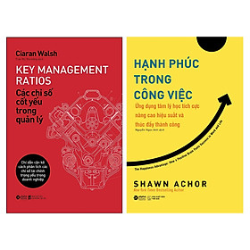 [Download Sách] Combo Các Chỉ Số Cốt Yếu Trong Quản Lý + Hạnh Phúc Trong Công Việc 