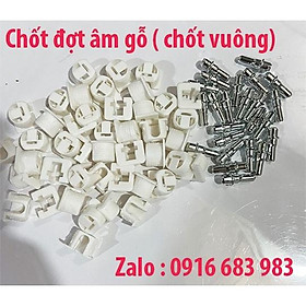 Mua Chốt đợt âm gỗ không ren  chốt đợt cài âm chốt hãm đợt túi 500 con