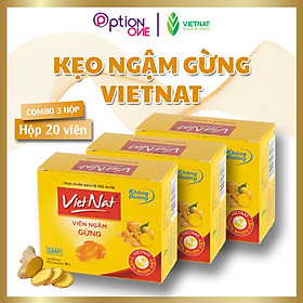 COMBO 3 HỘP Kẹo ngậm hỗ trợ tiêu hóa, đề phòng cảm cúm gừng Vietnat không