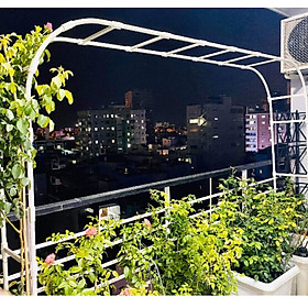 KHUNG CỔNG VÒM HOA HỒNG 2M25 - Dùng làm khung giàn cho hoa leo, hoa hồng - Tạo điểm nhấn cho khu vườn